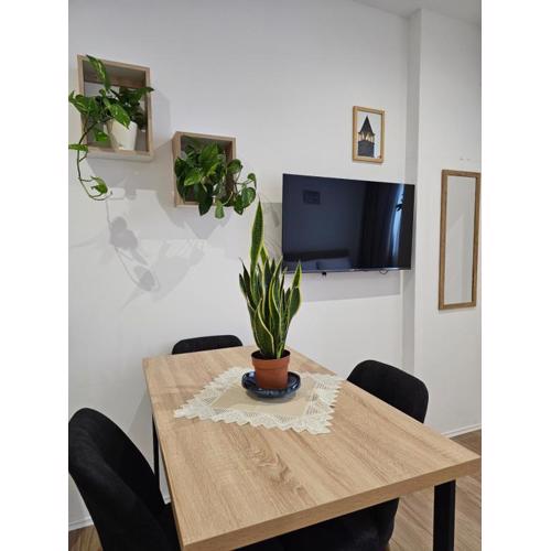 Apartment\