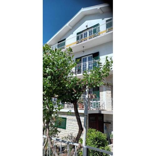Apartments Anna