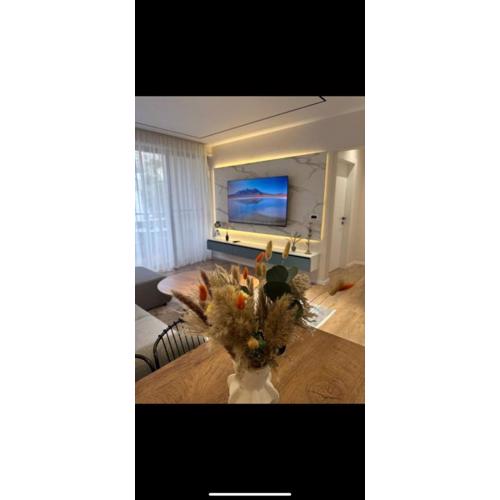Apartments Aplus
