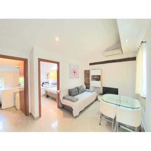 Apartments Ascic