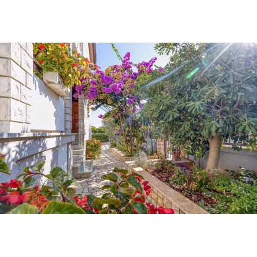 Apartments Azra
