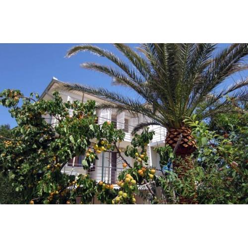 Apartments by the sea Barbat, Rab - 22754