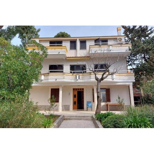 Apartments by the sea Stara Novalja, Pag - 24010