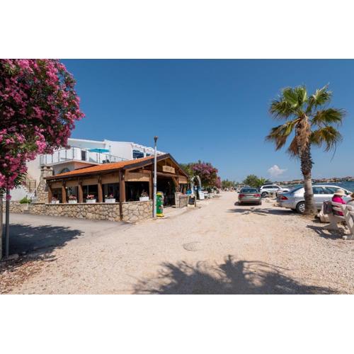 Apartments by the sea Vir - 21401