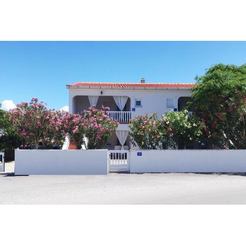 Apartments by the sea Vir - 24066