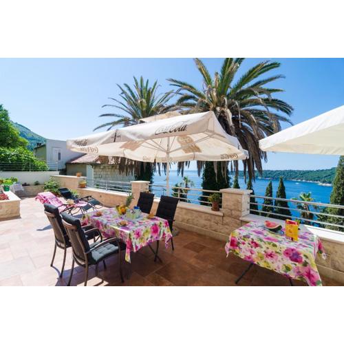 Apartments Davor