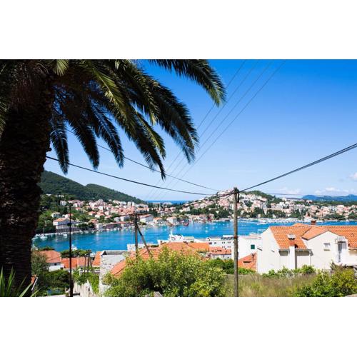Apartments Dubrovnik Palm Tree Paradise