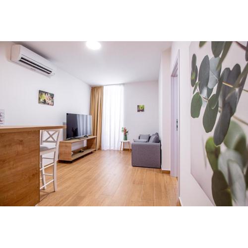 Apartments Euphoria Center