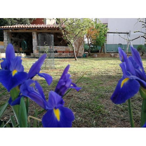 Apartments Gorka