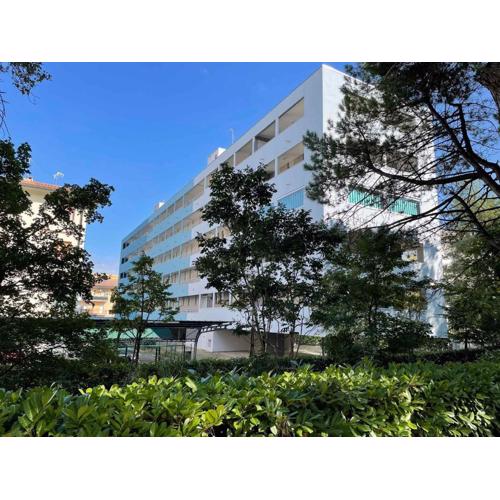 Apartments in Bibione 38281