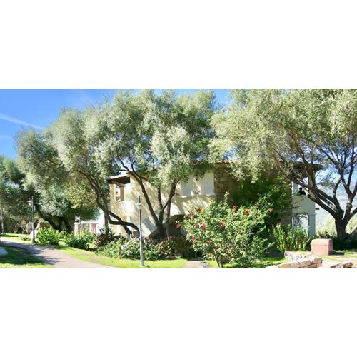 Apartments in residence with swimming pool in Porto Rotondo