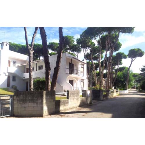 Apartments in Rosolina Mare 25084
