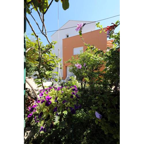 Apartments Ivanov