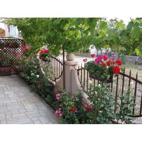 Apartments Lalic
