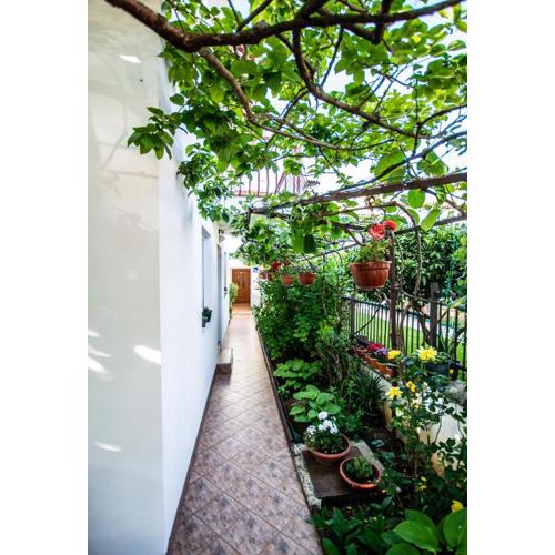 Apartments Lea Poreč