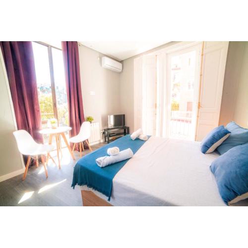 Apartments Madrid Plaza Mayor-Tintoreros