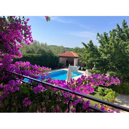 Apartments Maras