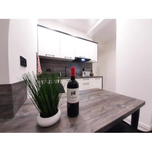 Apartments MiS-for you in city center
