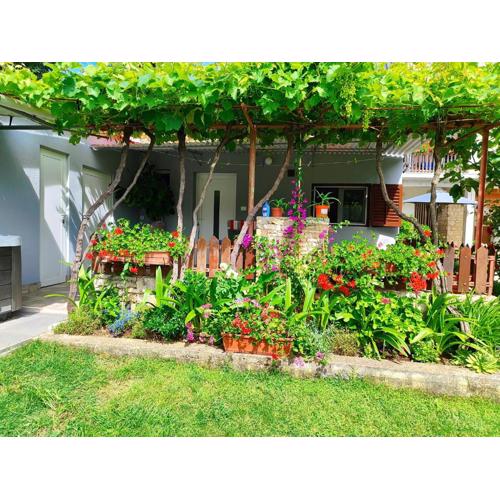 Apartments Pavao 1402