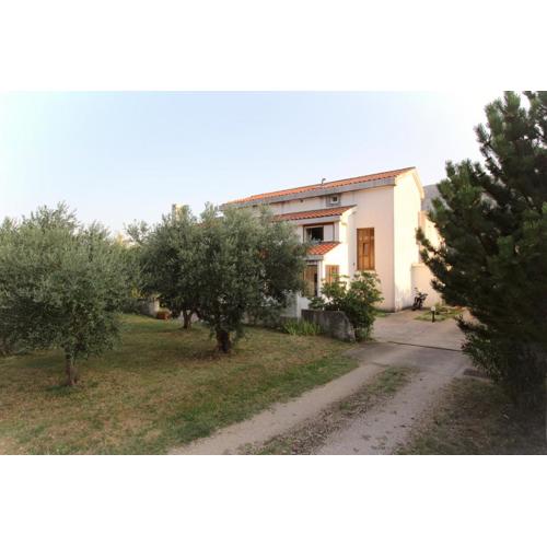 Apartments Petrica