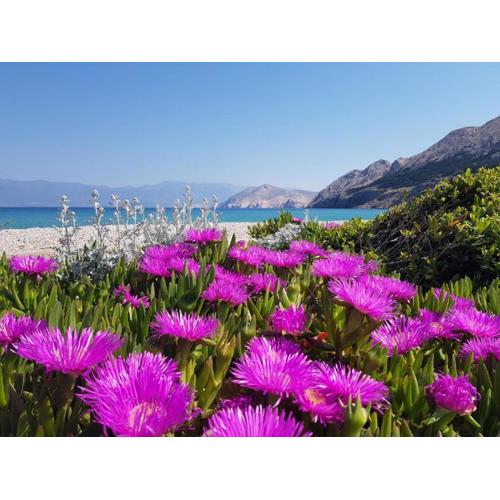 Apartments Prestige Baška