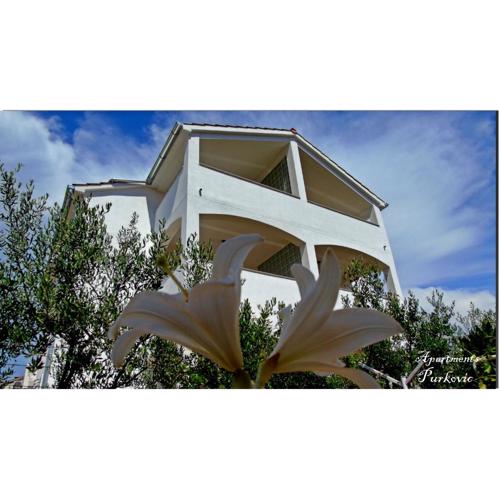 Apartments Purkovic