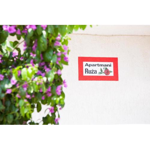 Apartments Ruza