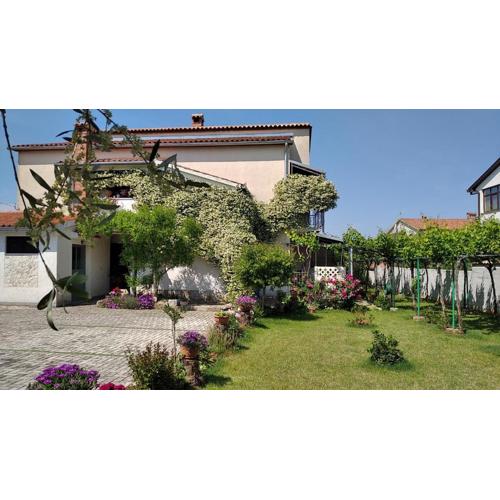 Apartments Saša - pets friendly!