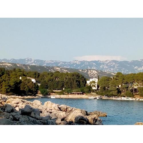 Apartments Suha Punta - Crnic