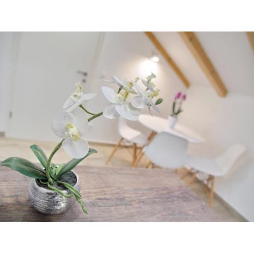 Apartments Sweet Escape - Studio Apartment with Terrace and Sea View 1