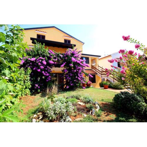 Apartments Tancel
