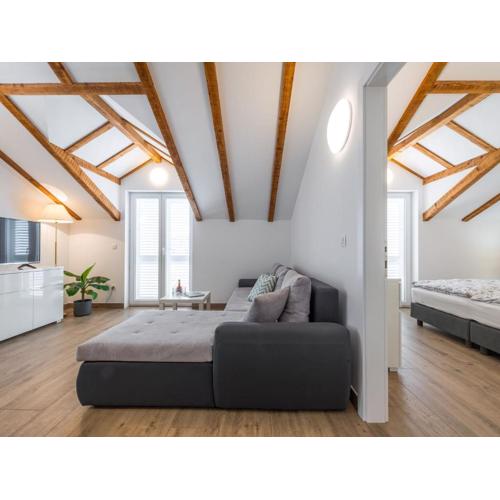 Apartments Terra - Comfort One Bedroom Apartment with Balcony and City View VELIKI