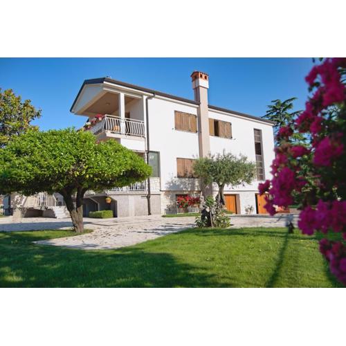 Apartments Vili