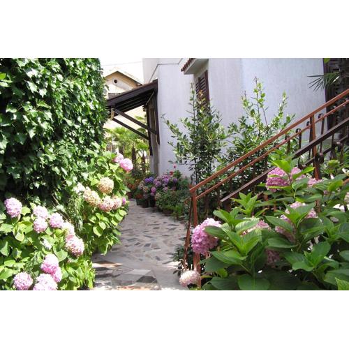 Apartments Villa Ida