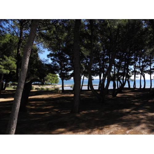Apartments VINK