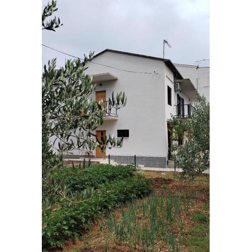 Apartments with a parking space Trogir - 23129