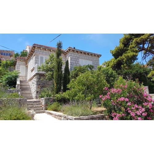 Apartments with WiFi Dubrovnik - 23752