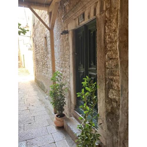 Apartments with WiFi Sibenik - 23803