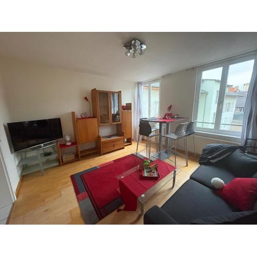 Appart 3P 57 m2 Le Coeur de la Krutenau Strasbourg