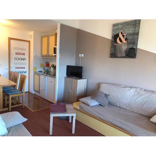 Appart cosy, accès pistes, mezzanine, casier à skis, animaux admis - FR-1-181-2154