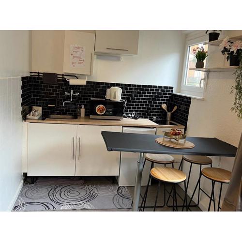 Appart strasbourg centre