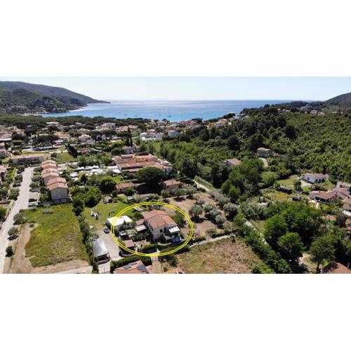 Appartamenti OLEANDRO - Giardini, terrazze, clima e posti auto
