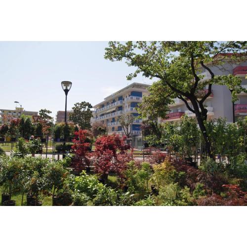 Appartamenti Residence Marcello-Piazza Torino-Lido di Jesolo