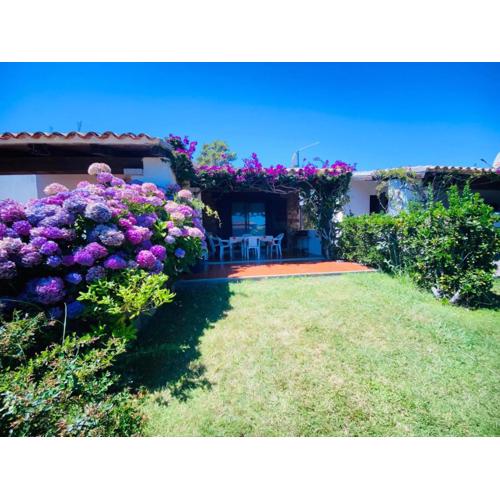 Appartamento Cala D\