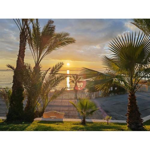 Appartamento con giardino a pochi minuti dal mare - #EssenzediMareSanremo