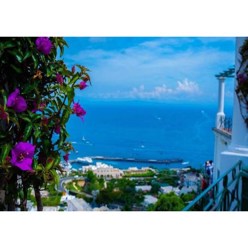 Appartamento con vista sulla famosa Piazzetta