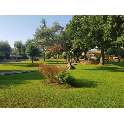 Appartamento da Francesco Villaggio degli Ulivi San Teodoro