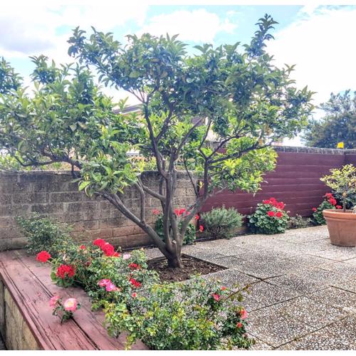 Appartamento Galgani
