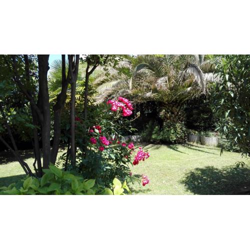 Appartamento giardino sugli ulivi