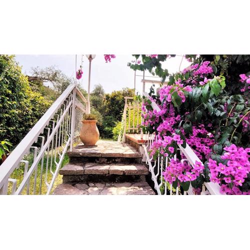 Appartamento la Bouganville